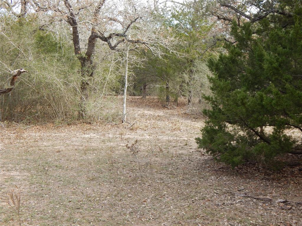 1053 County Road 438  , Yoakum, Texas image 21