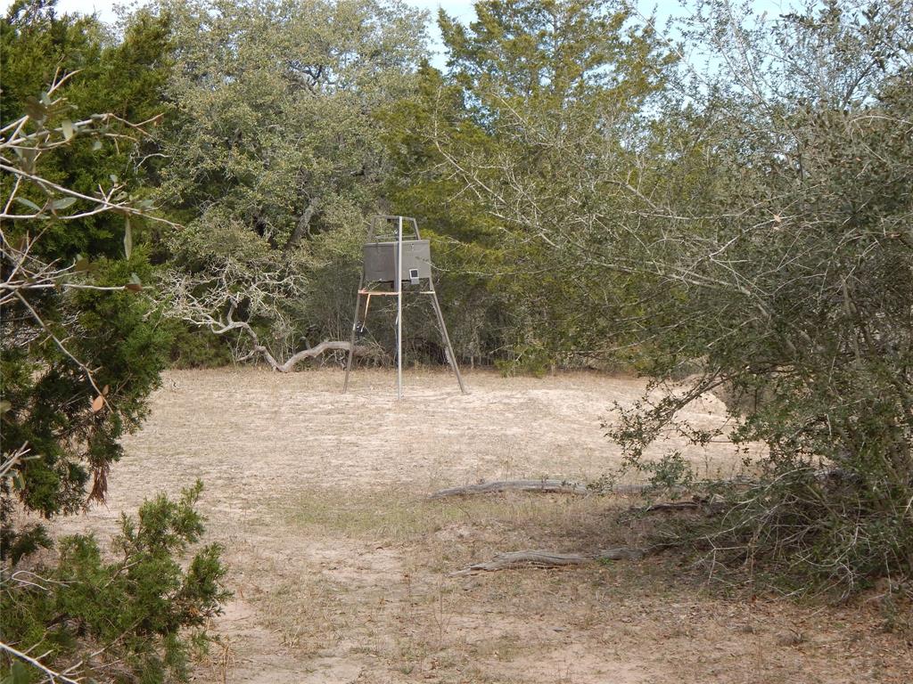 1053 County Road 438  , Yoakum, Texas image 9