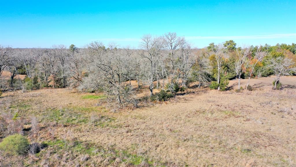 3484 Hackett Branch Road , Midway, Texas image 13