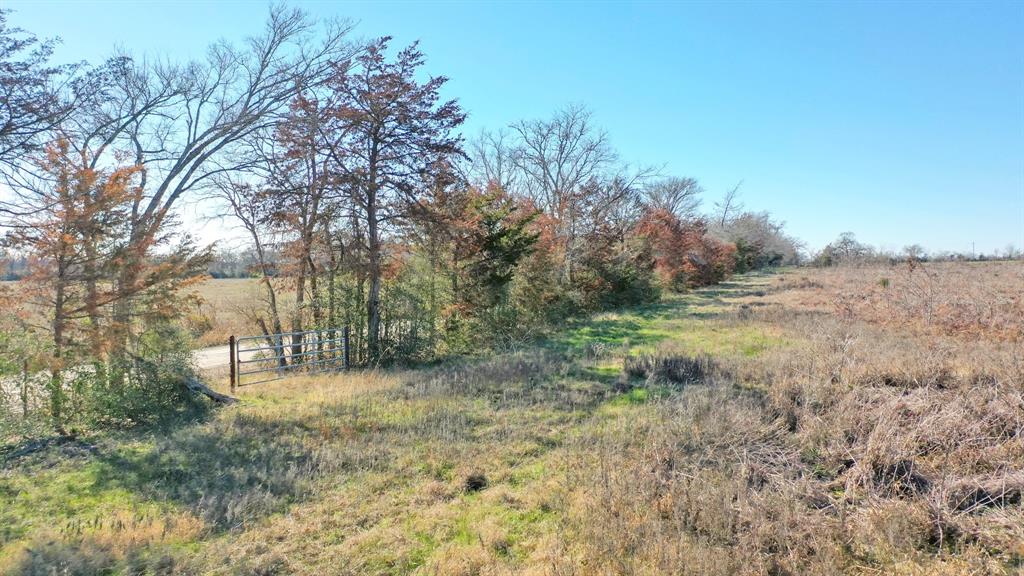 3484 Hackett Branch Road , Midway, Texas image 4