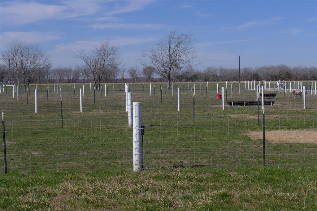 805 Williams Road , East Bernard, Texas image 6