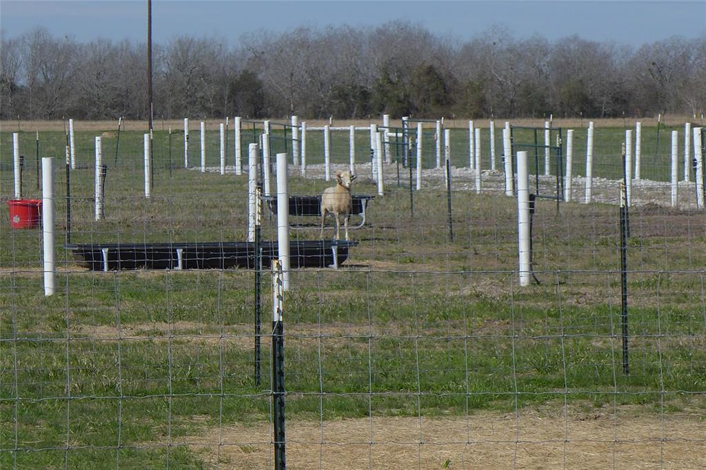 805 Williams Road , East Bernard, Texas image 7