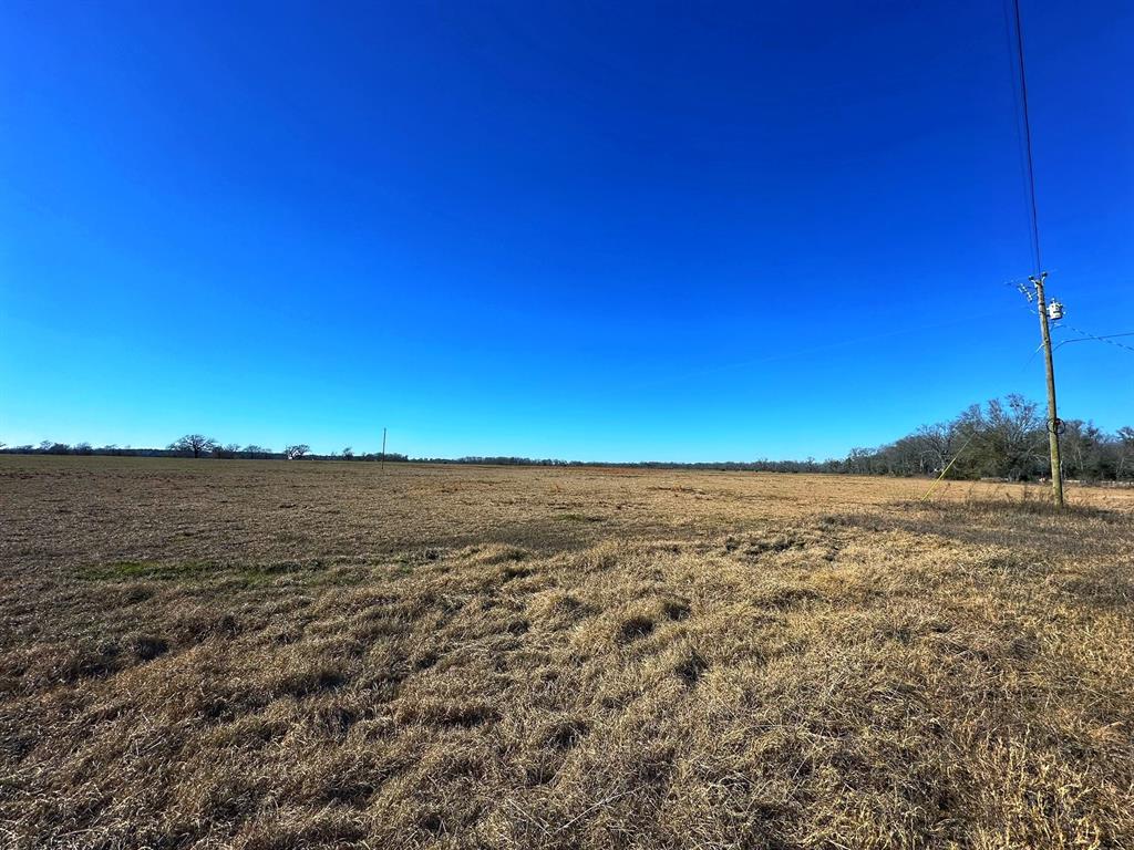 Tract 2 Cr 231  , Centerville, Texas image 4