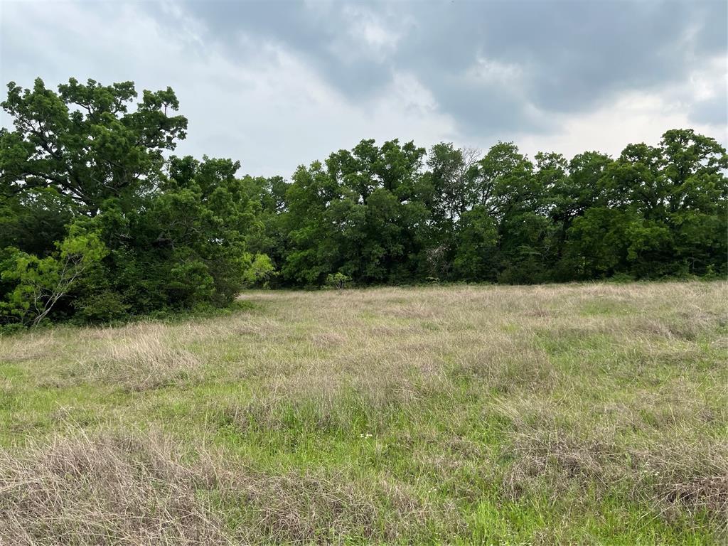 Do not miss this peaceful 20 acre property located in beautiful Leon county just north of Normangee.  The property is a blank canvas offering a mix of wooded areas and pasture.  Excellent for building your dream home, raising cattle and horses, hunting, or raising hay.