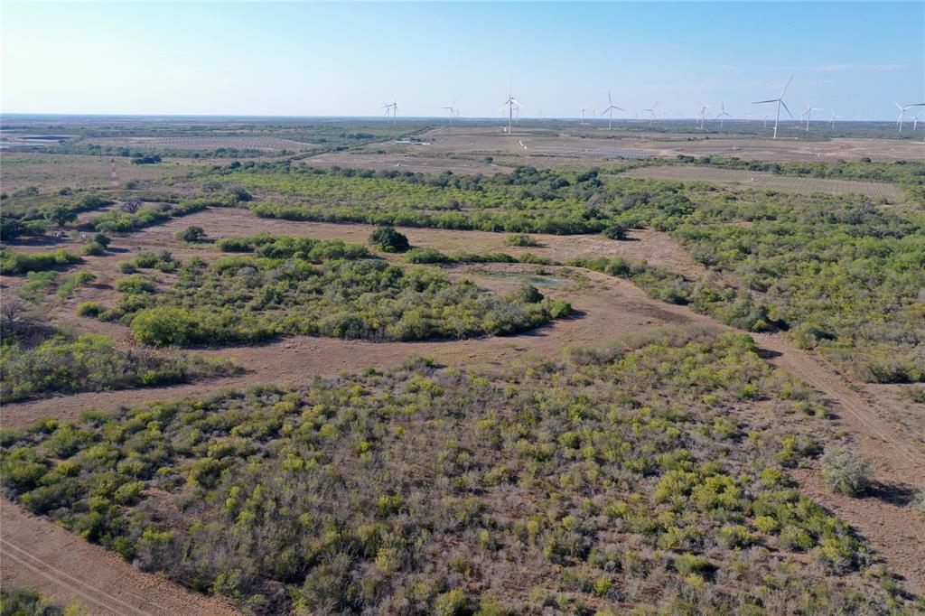 Lot 1 Cr 124  , Beeville, Texas image 13