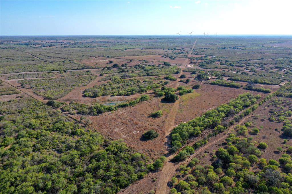 Lot 1 Cr 124  , Beeville, Texas image 8