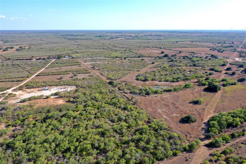 Lot 1 Cr 124  , Beeville, Texas image 9