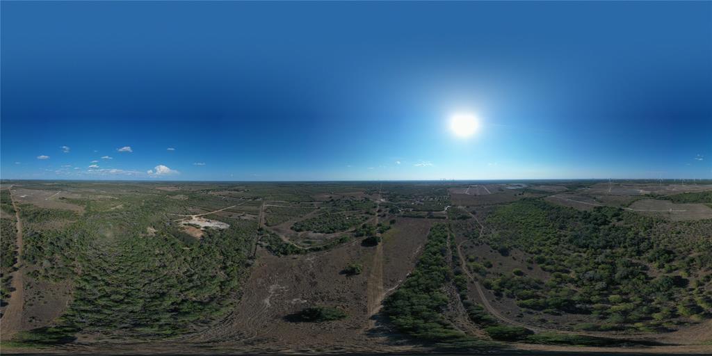 Lot 1 Cr 124  , Beeville, Texas image 10