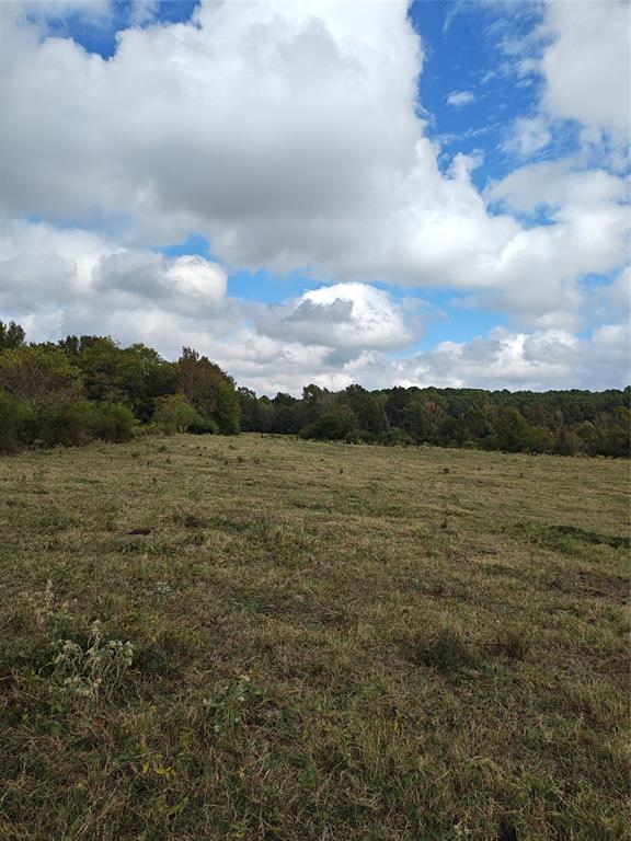 655 Hickey Road , Hallsville, Texas image 8