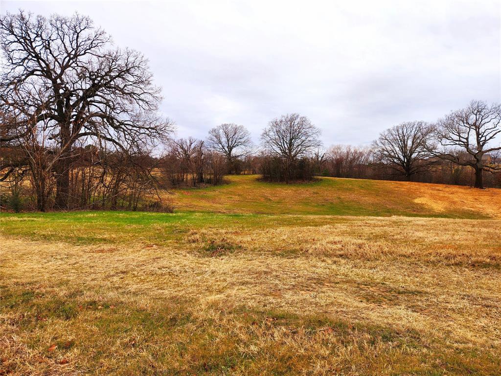 View of the middle of lot 125 and the slope at the back corner of this lot.