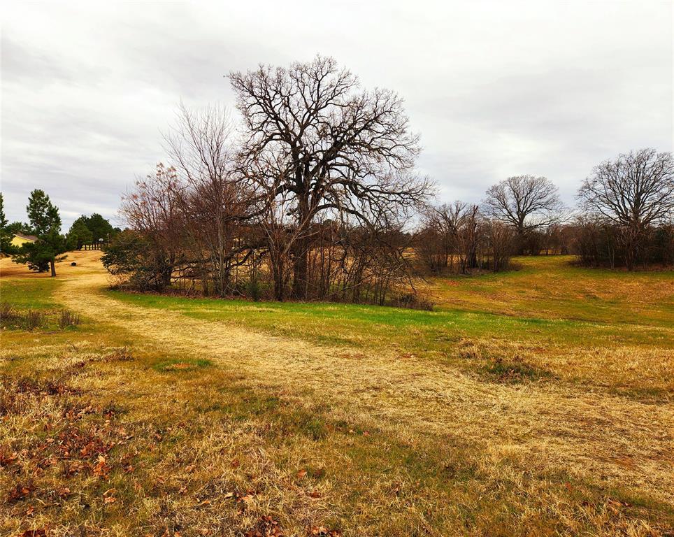 Clear View Court , Athens, Texas image 21