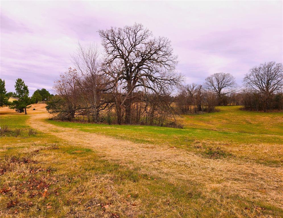 Clear View Court , Athens, Texas image 22