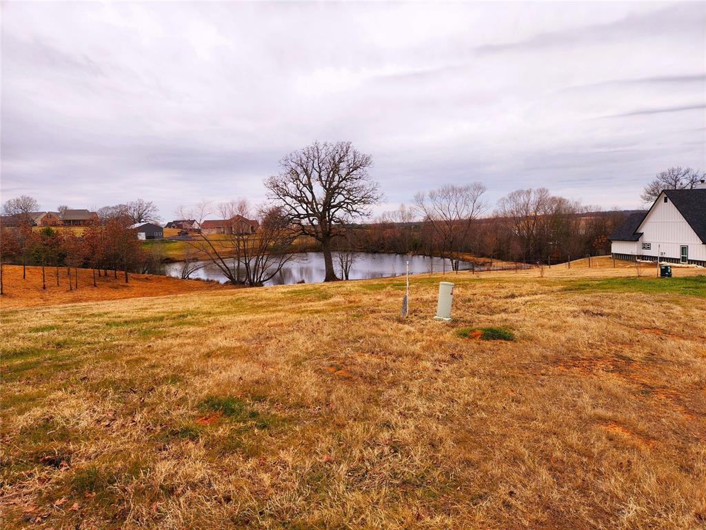 Great view of the pond two lots over. Lot 124 is also for sale and includes this pond. Buy both this lot 124 and 125 for an awesome view and building options.