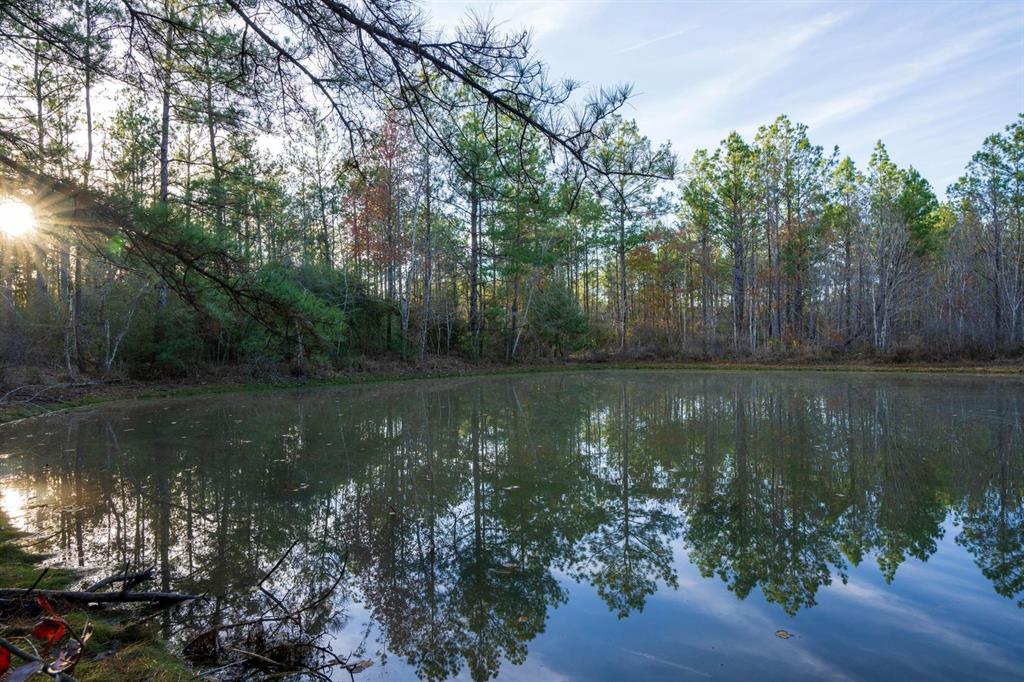 TBD 1 Five Acre Tract Road, Buna, TX 
