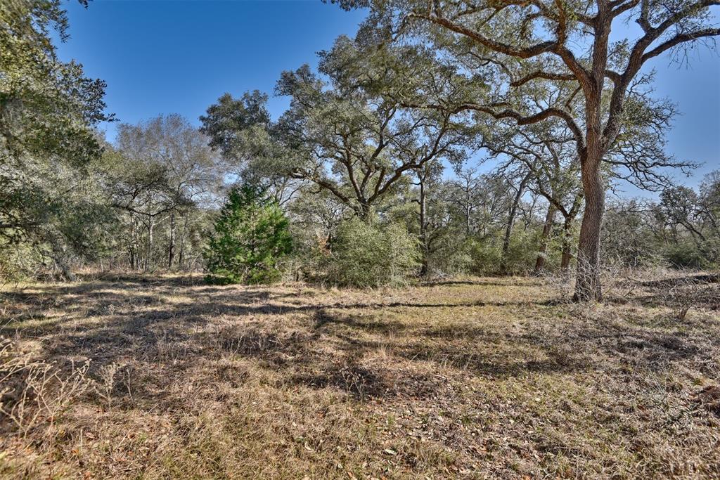 1019 Bass Road , Garwood, Texas image 41