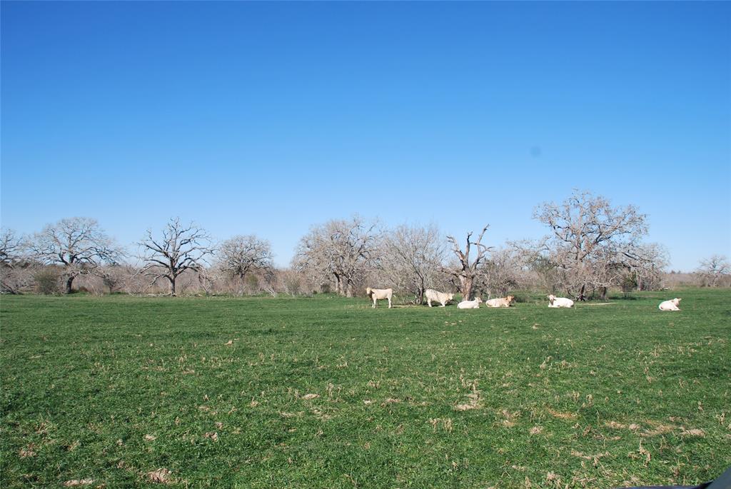 TBD County Rd 401