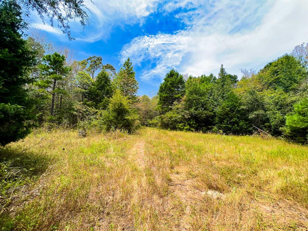 000 County Road 4606  , Troup, Texas image 8