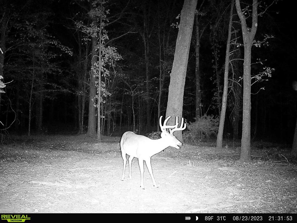 000 County Road 4606  , Troup, Texas image 9