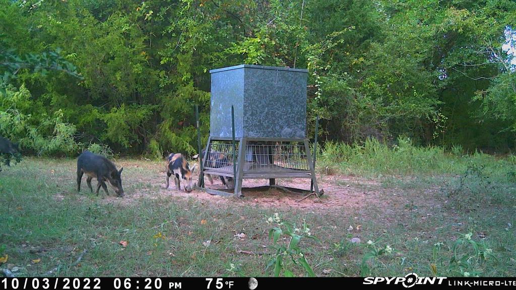 12299 E Fm 485  , Cameron, Texas image 34