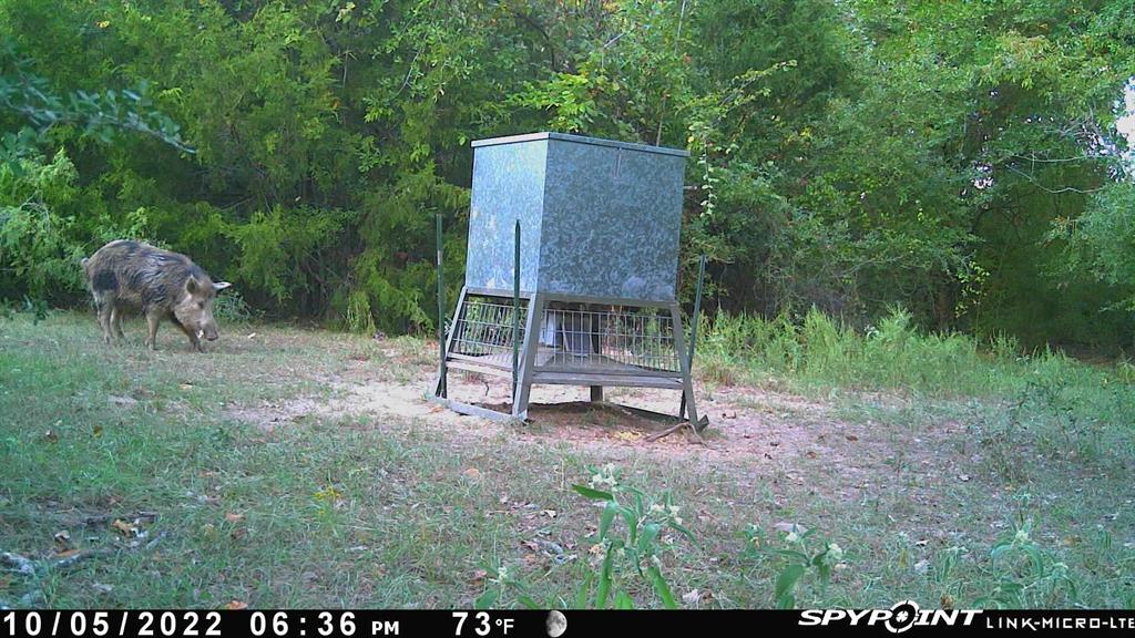 12299 E Fm 485  , Cameron, Texas image 37