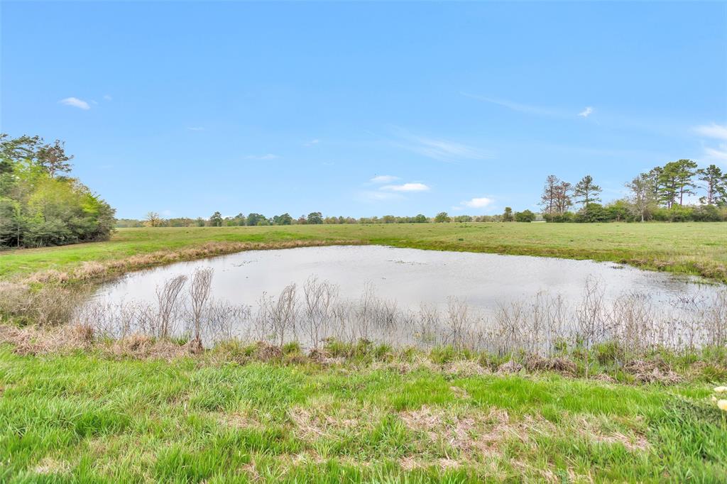 TBD County Rd 228