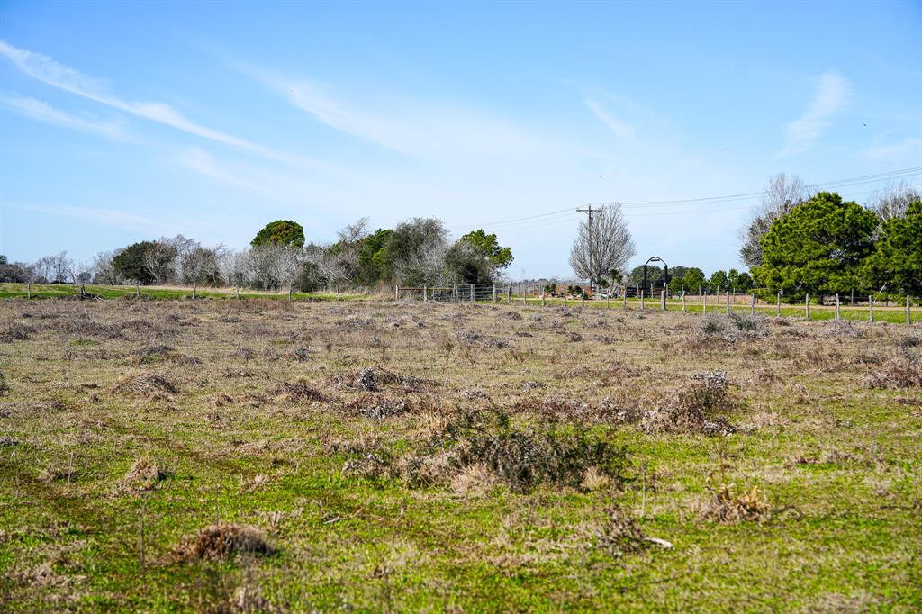 Bernardo Road , Cat Spring, Texas image 24