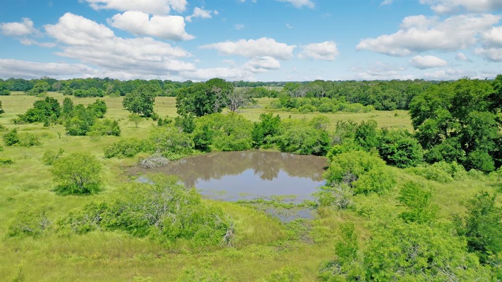 Tbd 0 Fm 2158  , Madisonville, Texas image 8