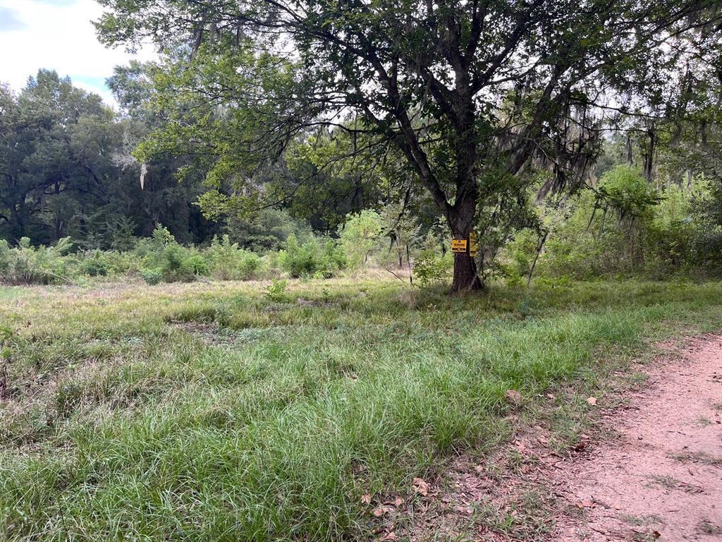 N Francies Avenue , Shepherd, Texas image 4