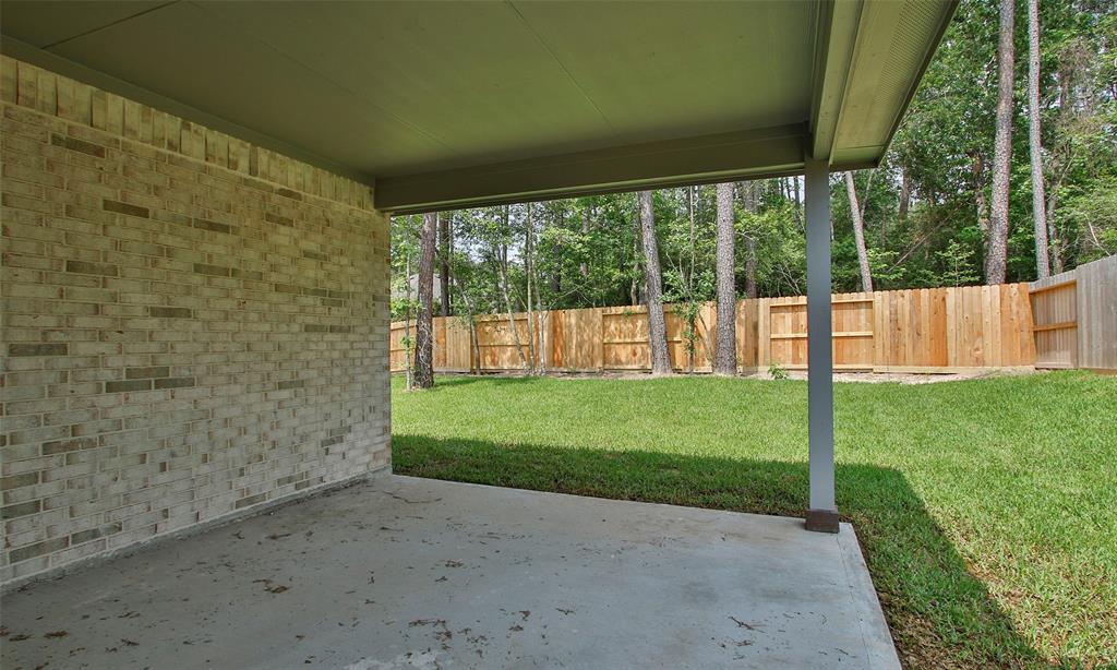 217 Woods Rose Court , Willis, Texas image 43