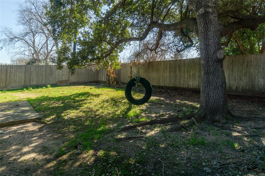 Find a beautiful shade tree with a tire swing ready for fun.