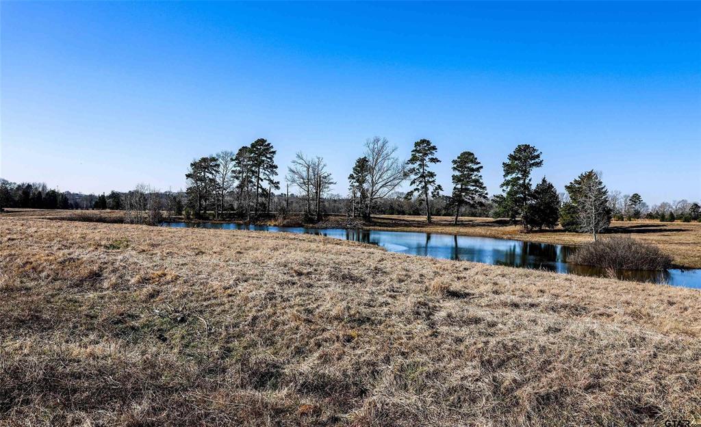 TBD Tract 1 County Road 317, Henderson, TX 75752