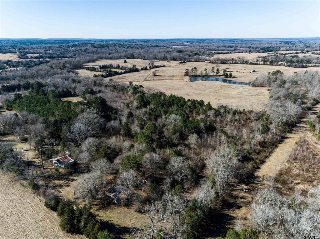 TBD Tract 1 County Road 374  , Henderson, Texas image 11