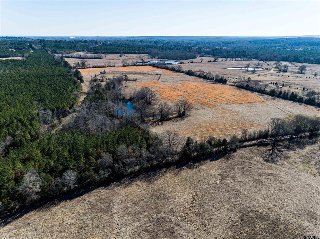 TBD Tract 1 County Road 374  , Henderson, Texas image 13