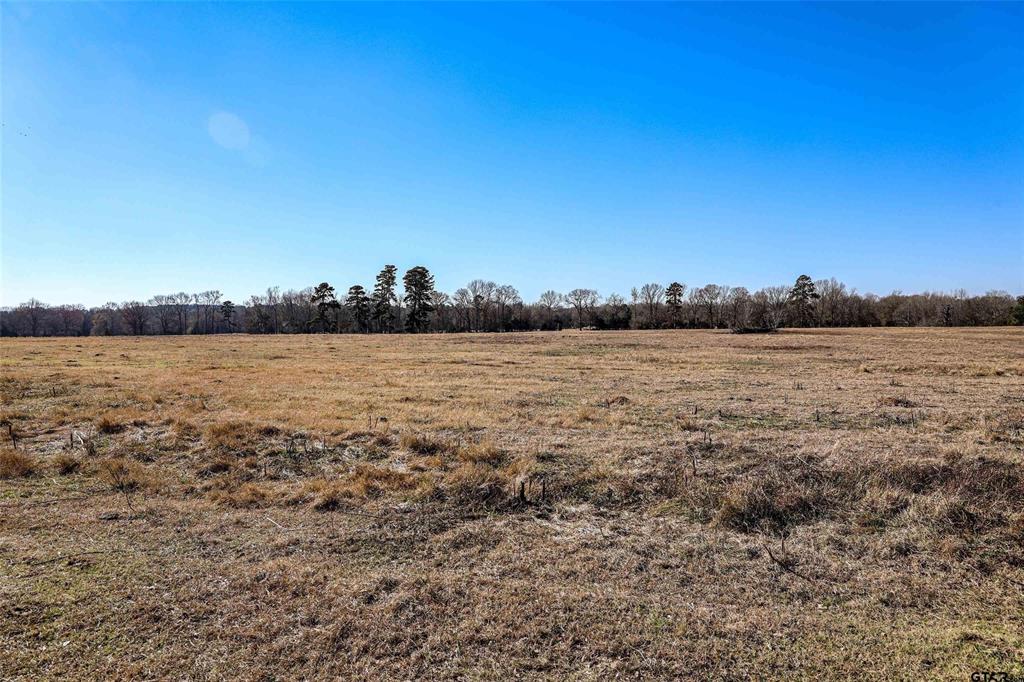 TBD Tract 1 County Road 374  , Henderson, Texas image 22