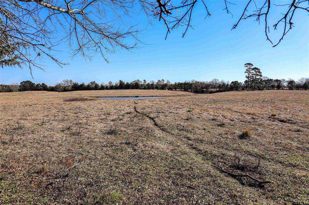 TBD Tract 1 County Road 374  , Henderson, Texas image 24