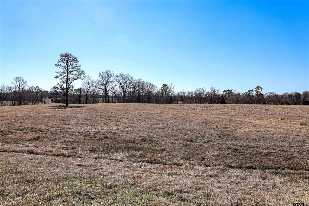 TBD Tract 1 County Road 374  , Henderson, Texas image 25