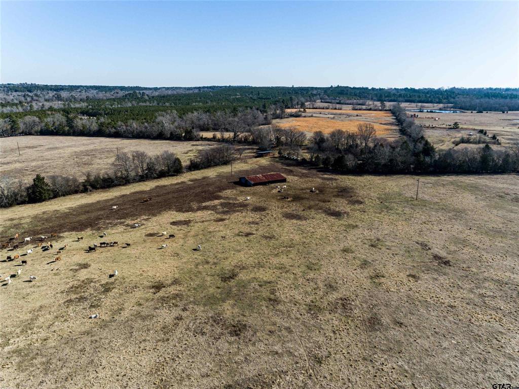 TBD Tract 1 County Road 374  , Henderson, Texas image 6