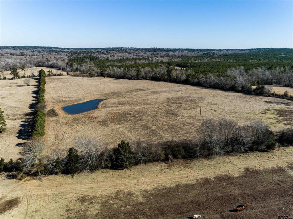 TBD Tract 1 County Road 374  , Henderson, Texas image 7