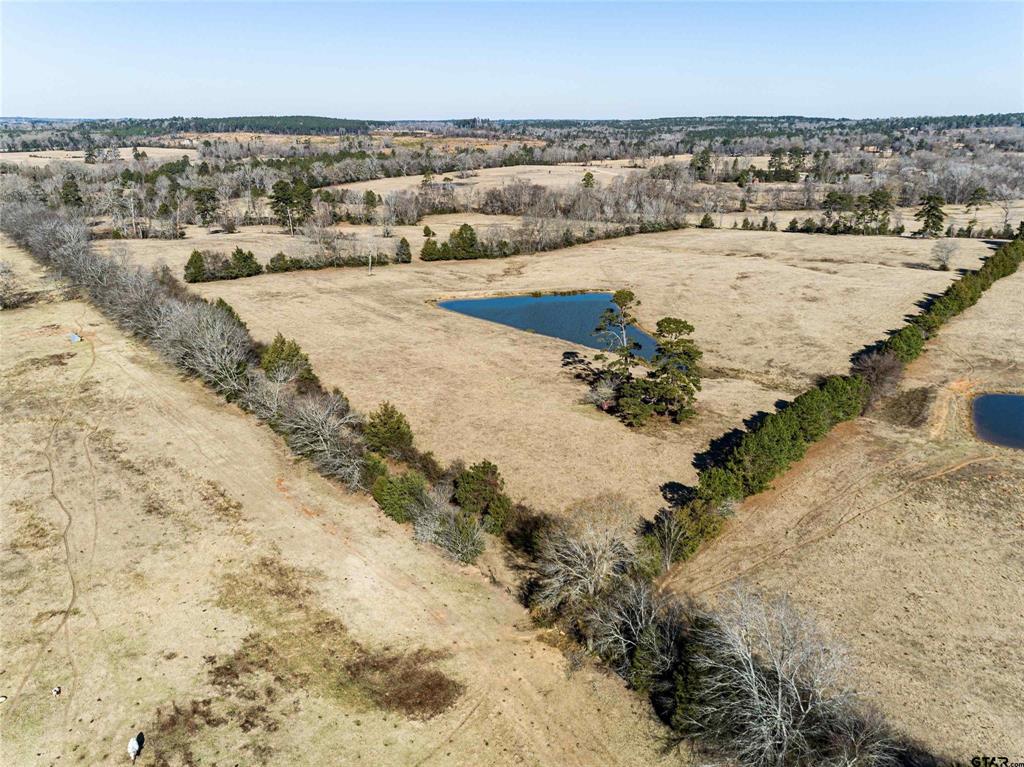 TBD Tract 1 County Road 374  , Henderson, Texas image 8