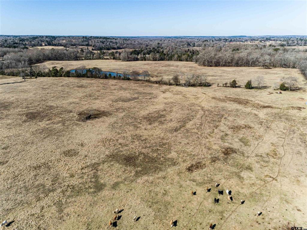 TBD Tract 1 County Road 374  , Henderson, Texas image 9