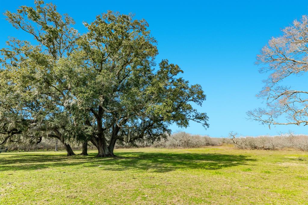 322 County Road 467  , West Columbia, Texas image 32