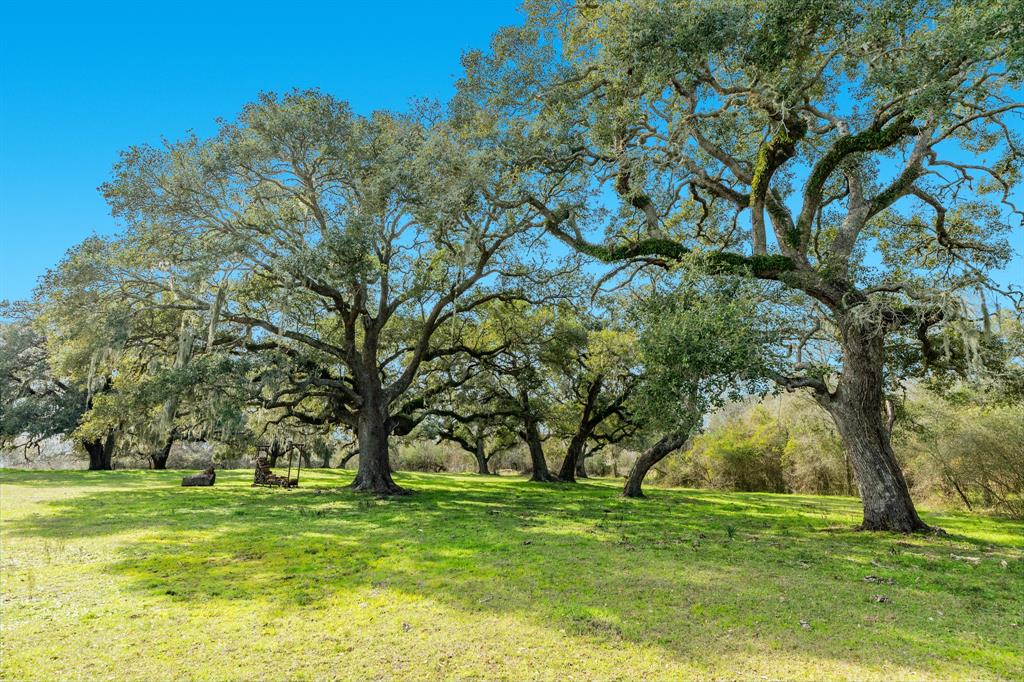 322 County Road 467  , West Columbia, Texas image 6