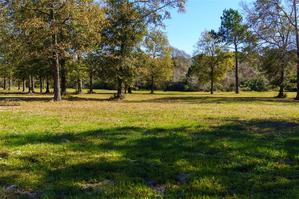 6600 Todville Road , Pasadena, Texas image 11