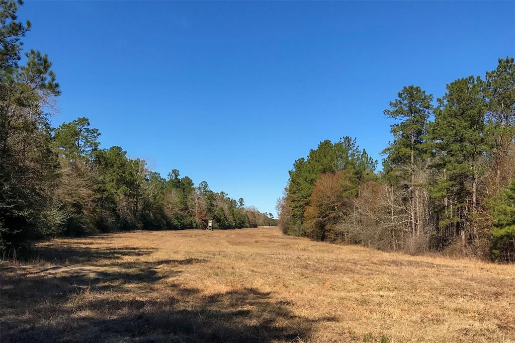 Tbd County Road 4595  , Fred, Texas image 5