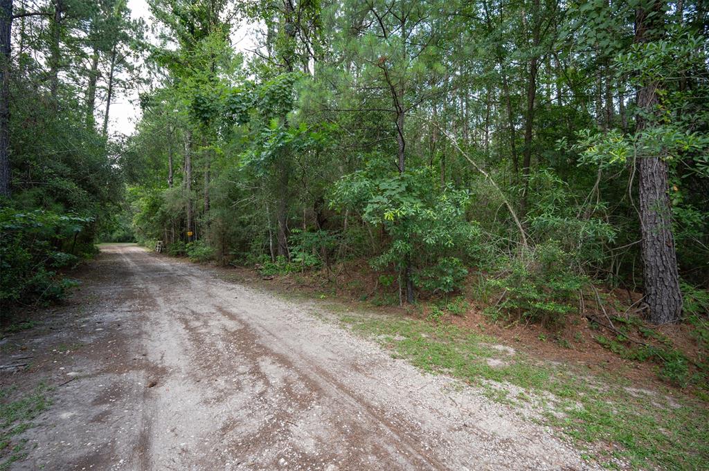 Tbd County Road 4595  , Fred, Texas image 6