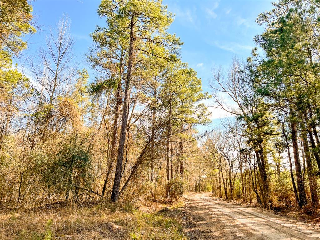 000 Union Springs Rd  , Corrigan, Texas image 13