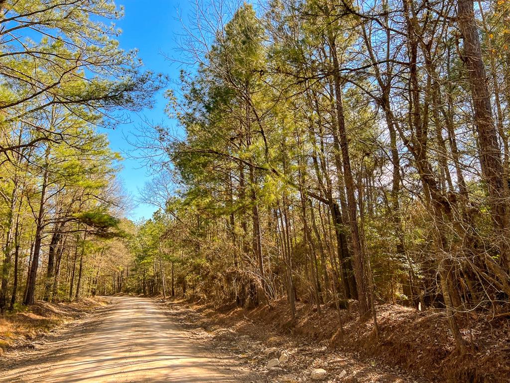 000 Union Springs Rd  , Corrigan, Texas image 4