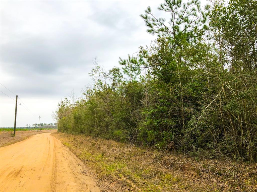 000000 Cr 4415  , Spurger, Texas image 6