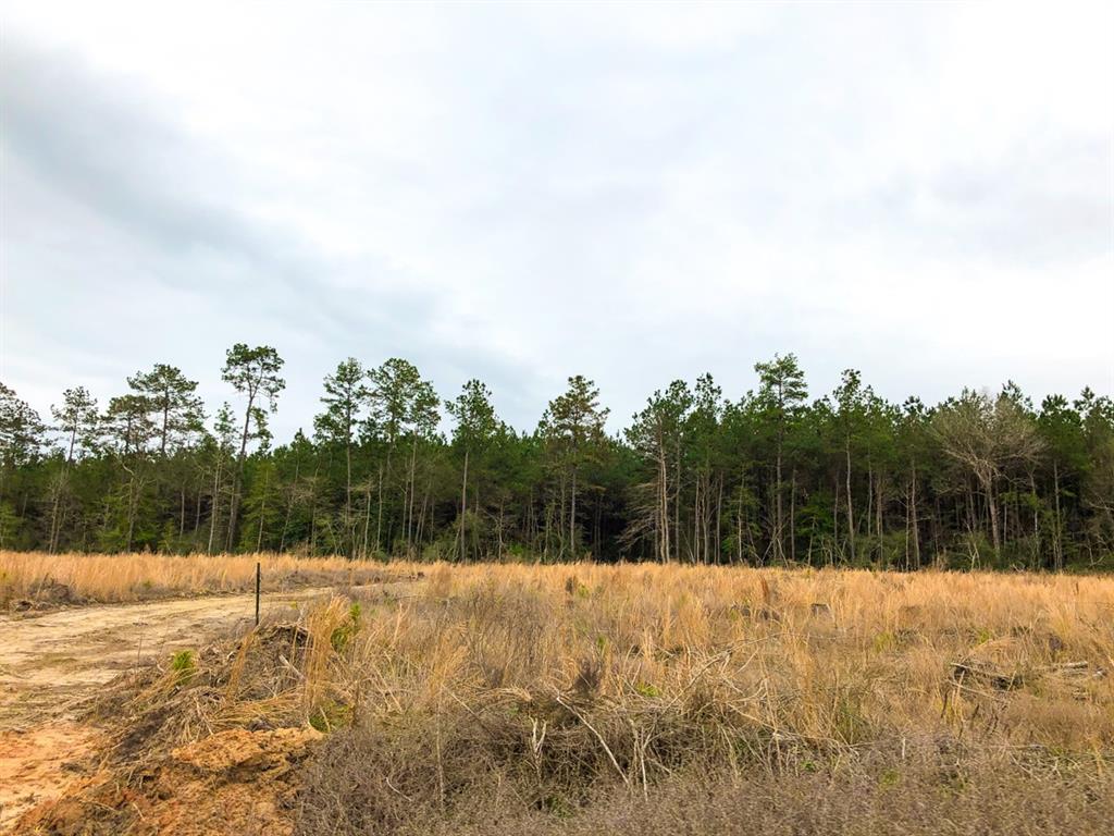 000000 Cr 4415  , Spurger, Texas image 10