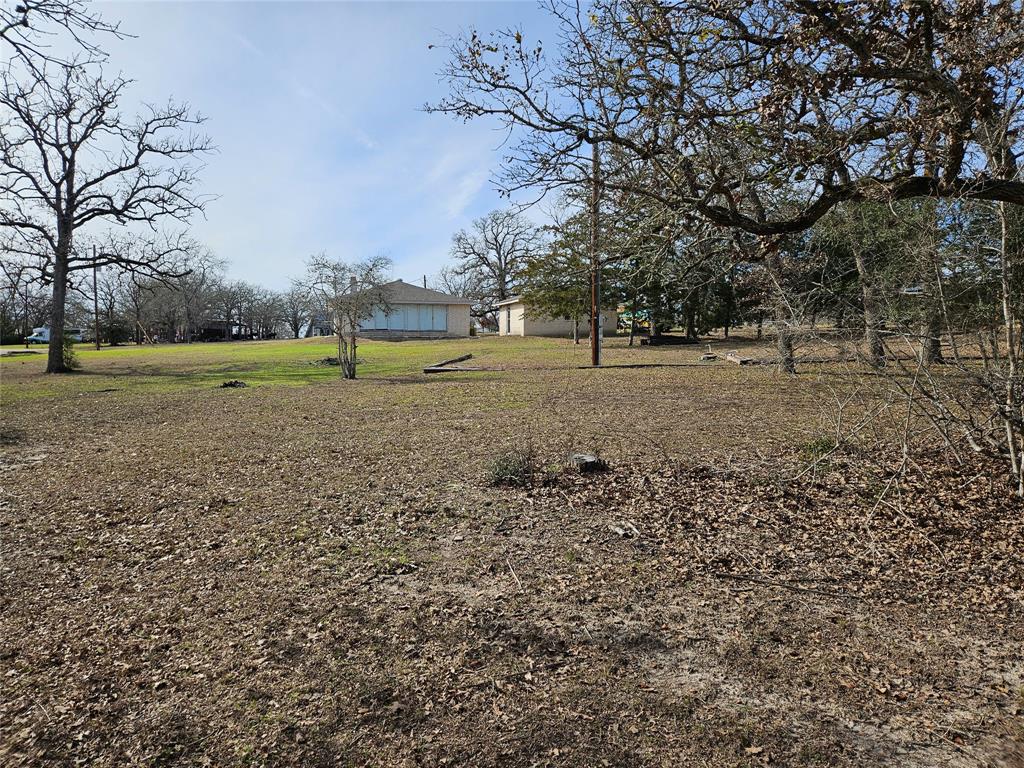 TBD Apache Drive Street  , Somerville, Texas image 12